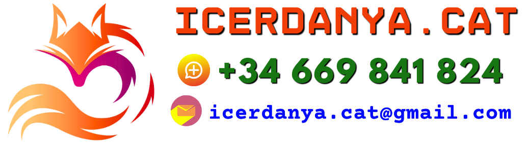 Targeta ICerdanya.cat
